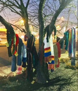 Chase the Chill chapters distribute scarves to those in need